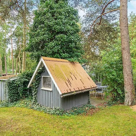 5 Person In Ans By-by Traum