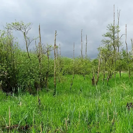 5 Person In Ans By-by Traum Vakantiehuis